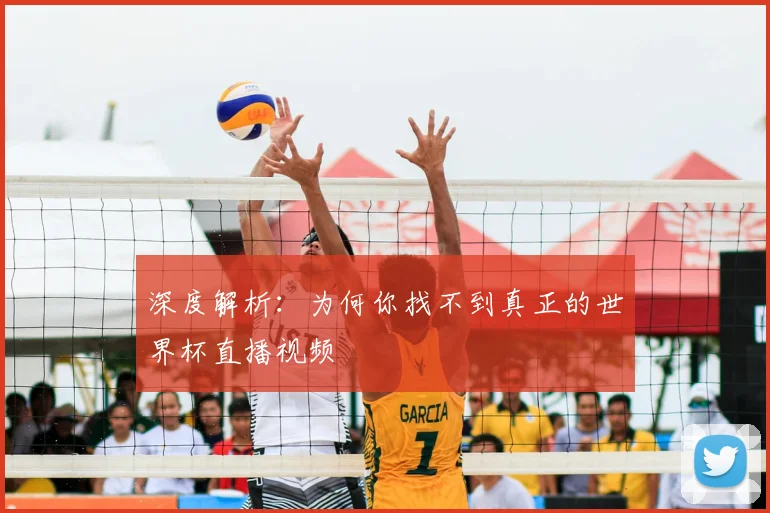 深度解析：为何你找不到真正的世界杯直播视频