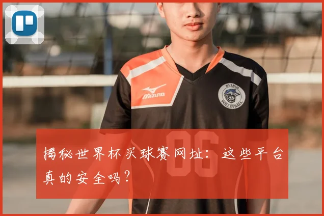 揭秘世界杯买球赛网址:这些平台真的安全吗?