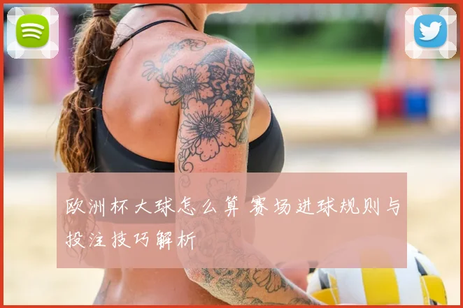 欧洲杯大球怎么算 赛场进球规则与投注技巧解析