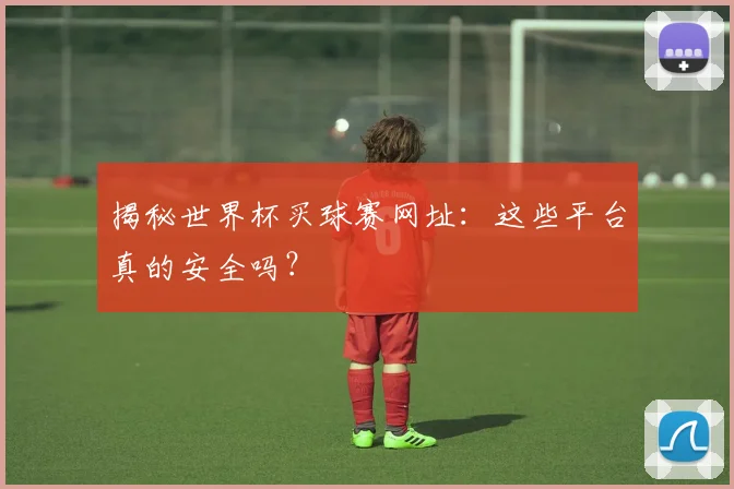 揭秘世界杯买球赛网址：这些平台真的安全吗？