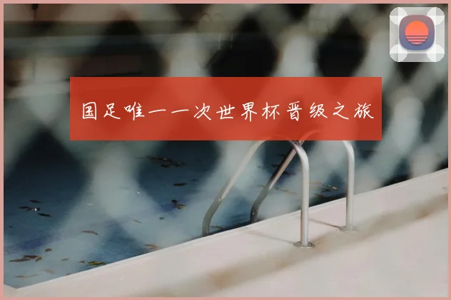 国足唯一一次世界杯晋级之旅